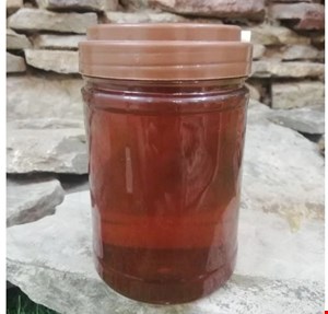 عسل قنقال طبیعی ساکارز پایین  - ارسال رایگان 