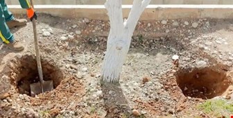 نحوه اجرای چالکود 