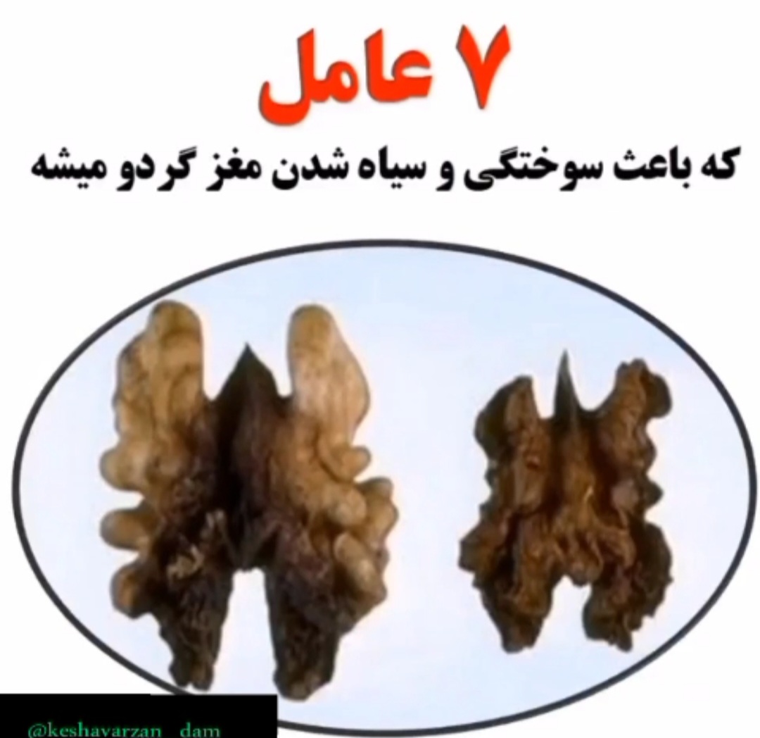 عواملی که باعث سیاه شدن گردو میشود 